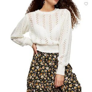 NWT TOPSHOP Ivory Pointelle Sweater size S